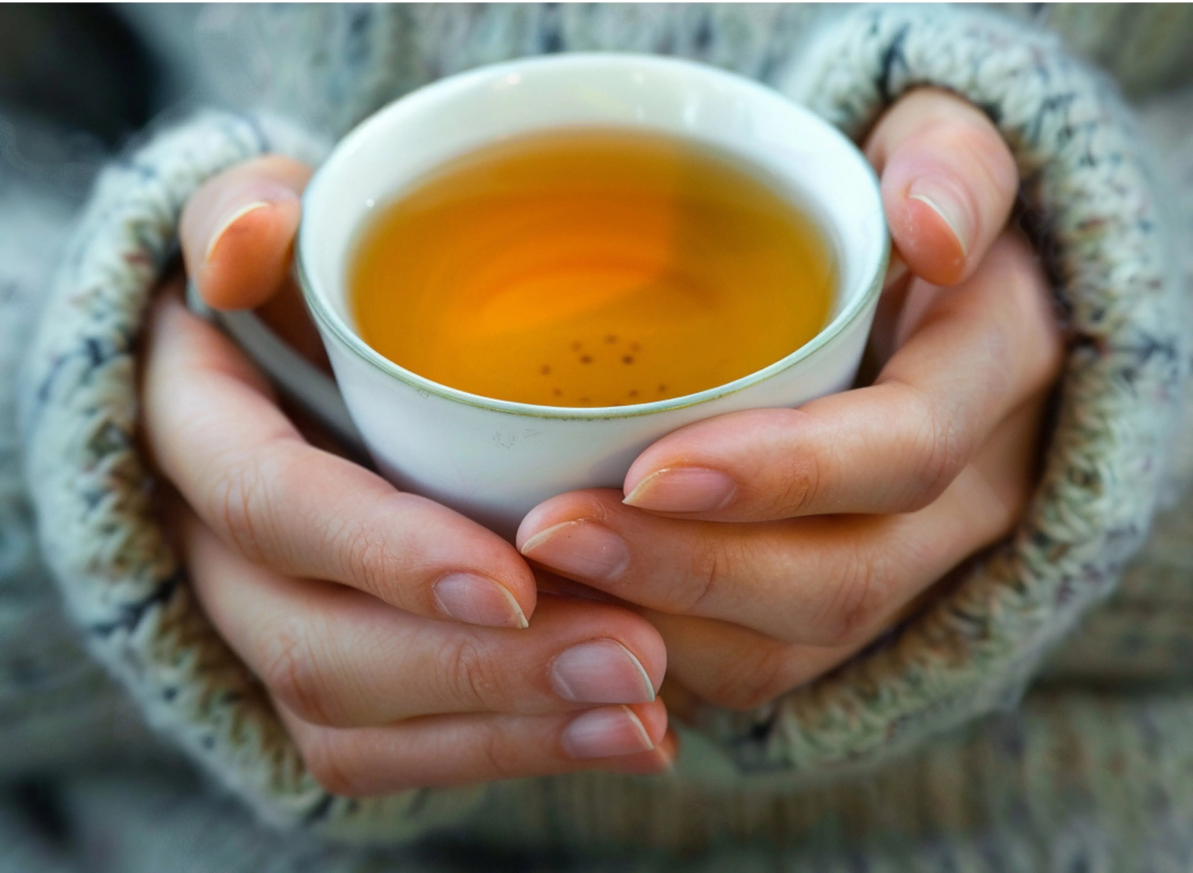 Hands holding a cup of tea
